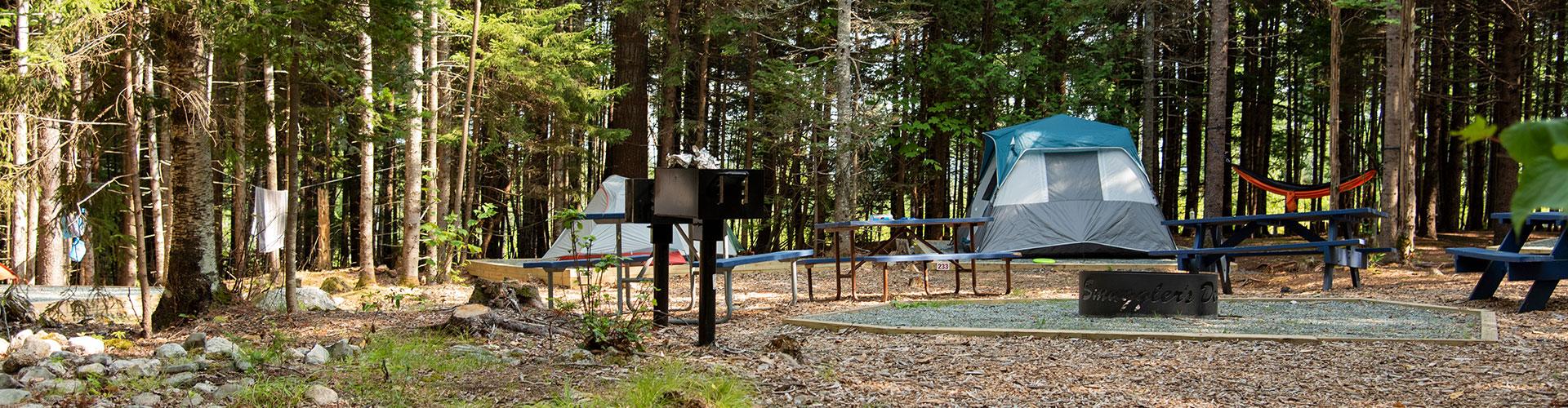 campsite on mount desert island, maine