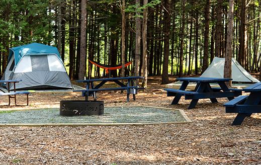 tent site at smuggler's den campground