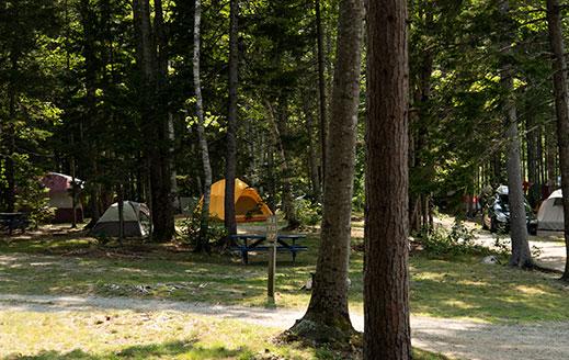 tent camping near acadia national park