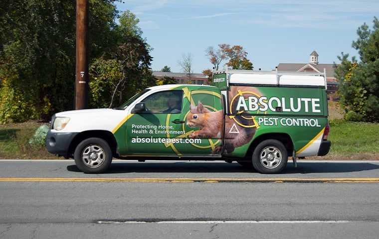 company vehicle in albany new york