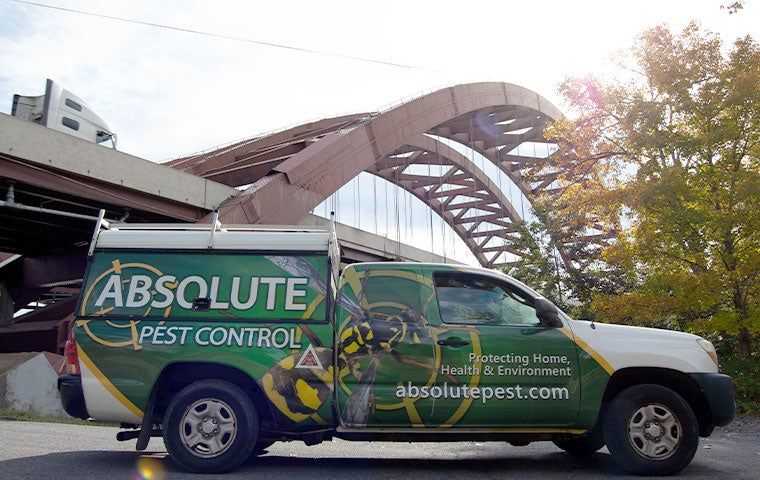 van under a bridge