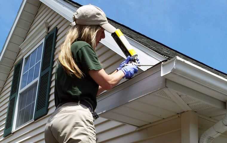 technician treating home in albany new york