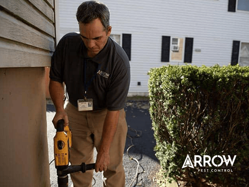 termite pest control service outside a new jersey home