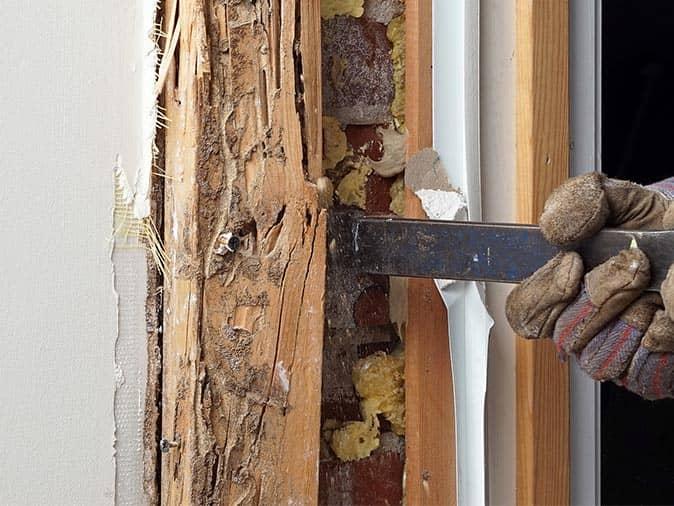 termite destroyed door frame inside a new jersey home