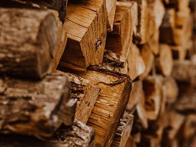 stack of firewood where carpenter ants are nesting