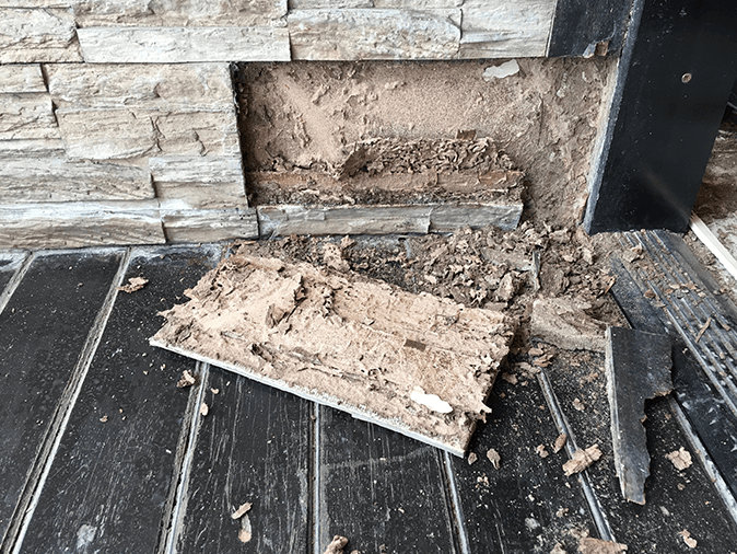 a termite leaving behind signs of damage for a new jersey homeowner to find