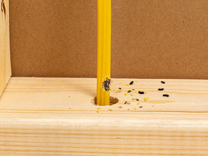 mouse droppings under kitchen sink