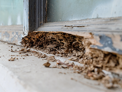 termite damaged door frame in new jersey home