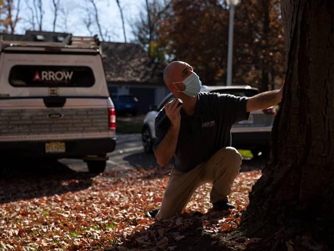 professional pest control tech inspecting a tree outside a NJ home