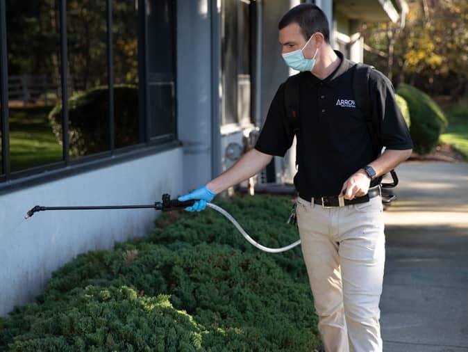 pest control payson utah