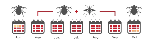 mosquito and tick treatment schedule from arrow pest control