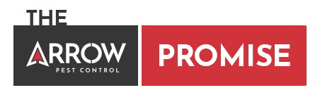 the arrow promise logo