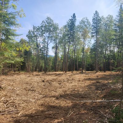 Mulched lot