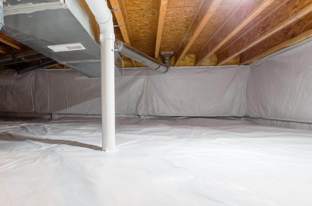 Crawl space after moisture control services