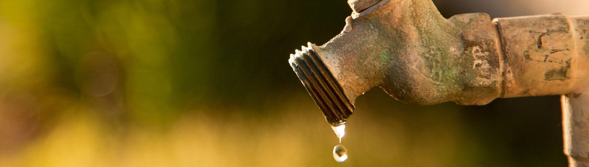 leaky exterior faucet attracts insects and rodents in the fall