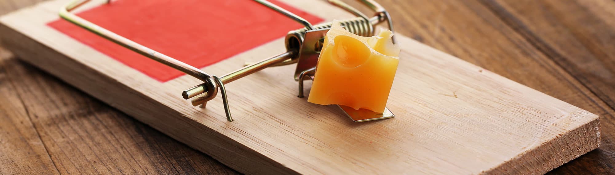 a mouse trap set with cheese inside VA home