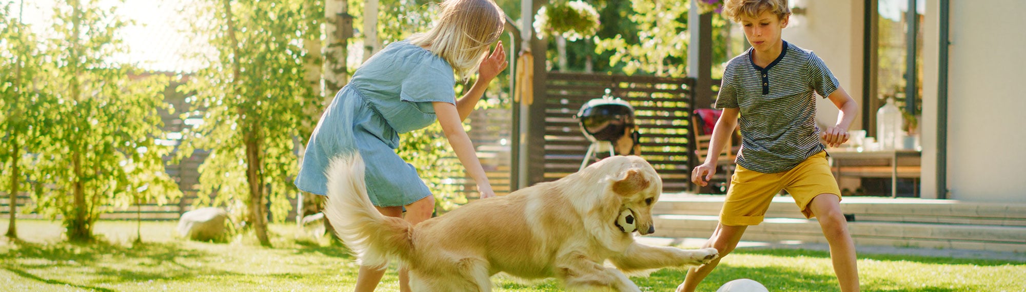 family in oceanfront enjoying the outdoors