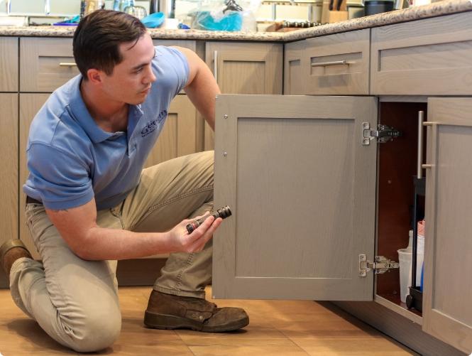 local exterminator inspecting kitchen for pests