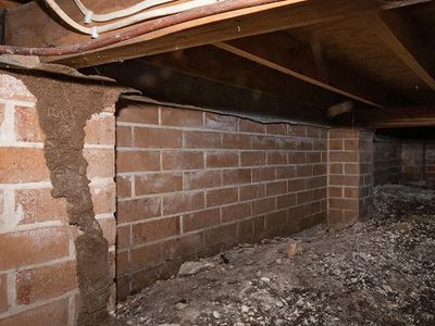 dark, damp crawl space with termite mud tube