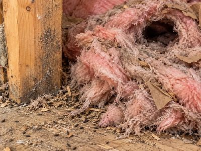 mouse nest made from insulation and cardboard