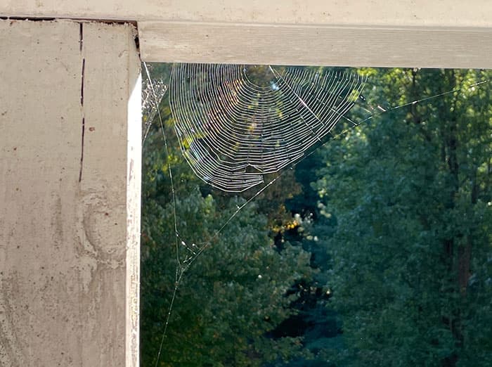 spider web on front porch of chesapeake va home