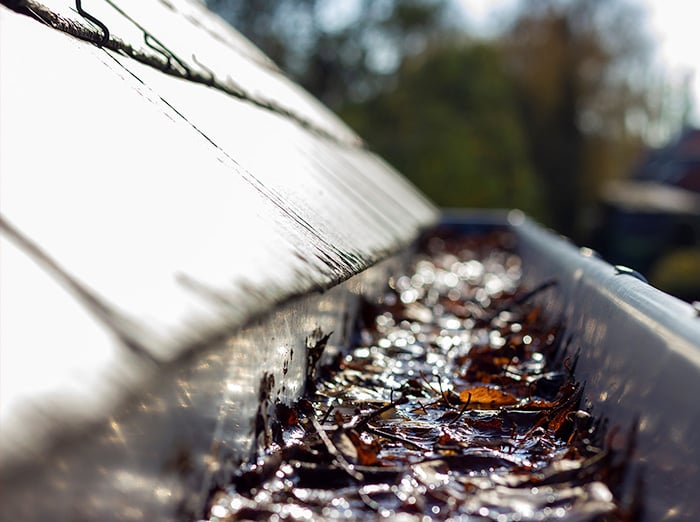 clogged gutters in chesapeake va