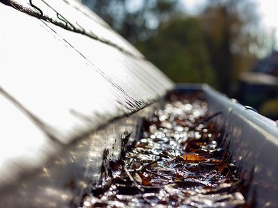 clogged gutters in chesapeake va