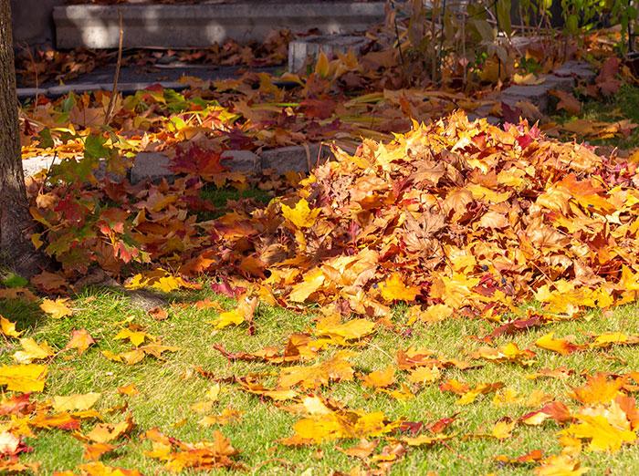 fall home maintenance tips for hampton roads homeowners