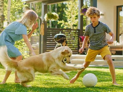 kids and dog playing with a ball