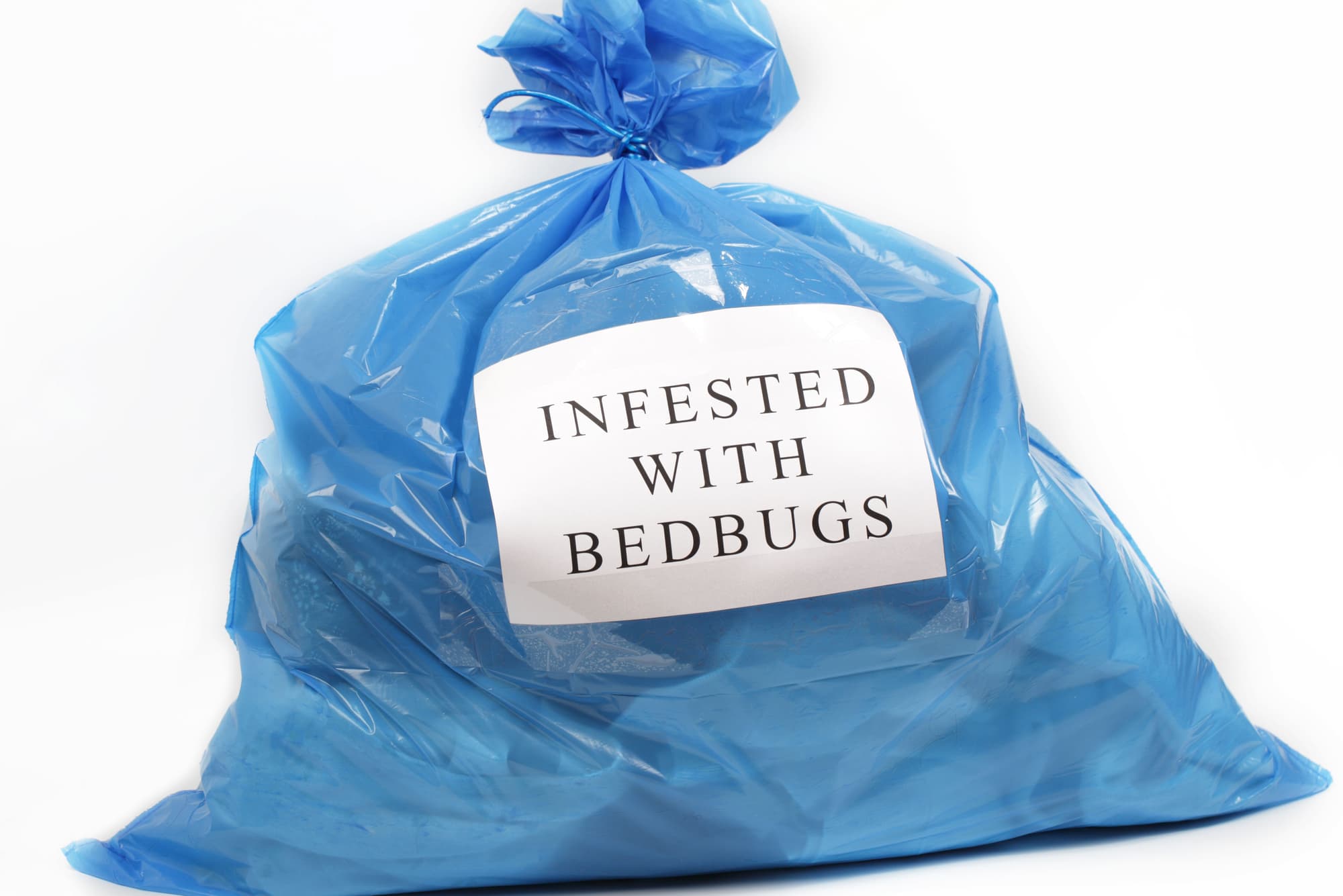 garbage bag filled with clothes that may have bed bugs