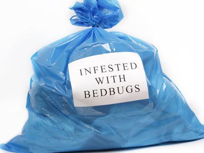 clothes in garbage bag that have been exposed to bed bug