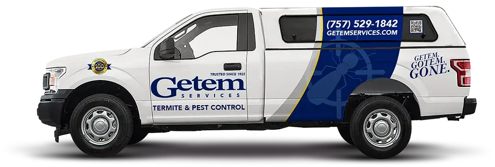 local exterminators in norfolk va