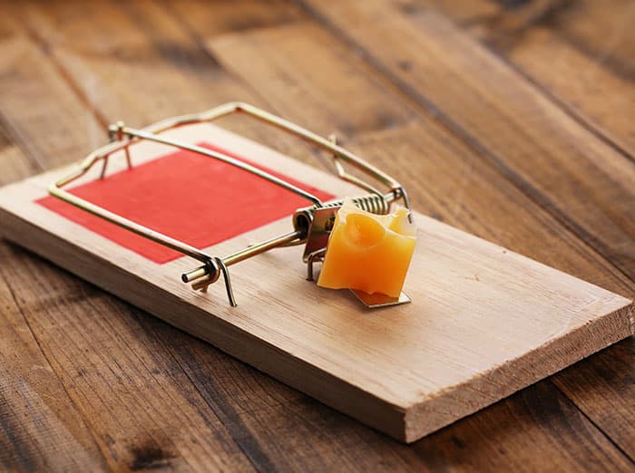 a mouse trap set with cheese in middle of room