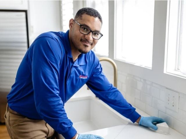 pest expert in kitchen