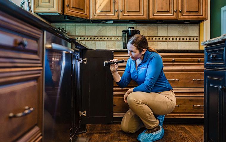 technician inspecting house