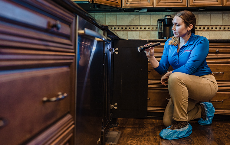 If You Need Ant Control In TN, Call All-American Pest Control tech inspecting in kitchen