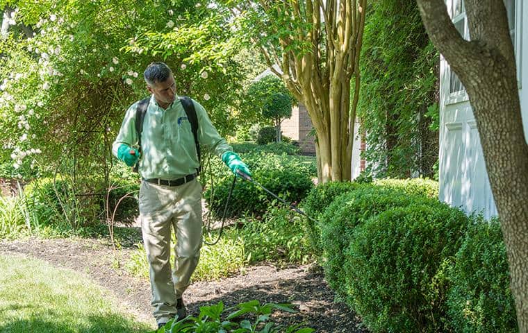 backyard pest treatment in nashville tn