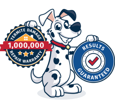 Learn More About Pest Control In Bellevue, TN allie and service badges