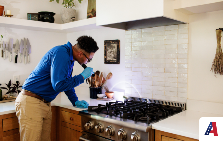 All American Pest Control ant exterminator near me