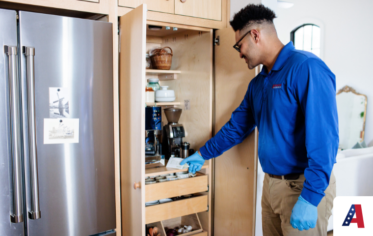 indian meal moth on a piece of bread