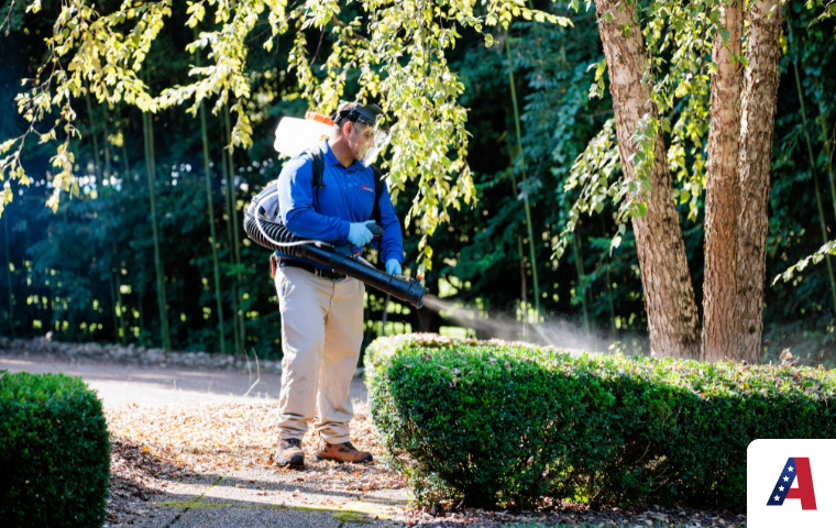 All American Pest Control pest control near me
