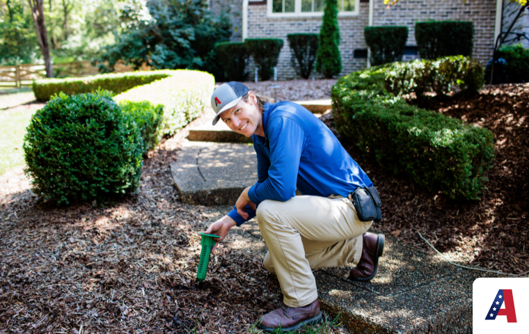 All American Pest Control termite control hendersonville tn