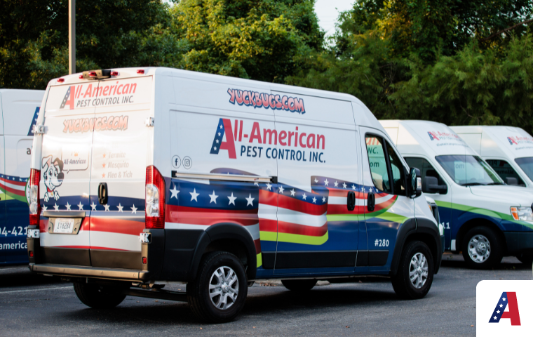 All American Pest Control best pest control near me