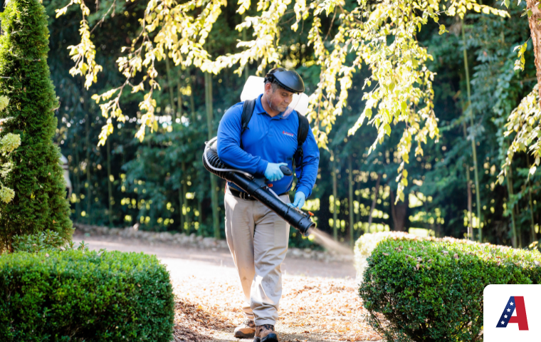 All American Pest Control bug pest control