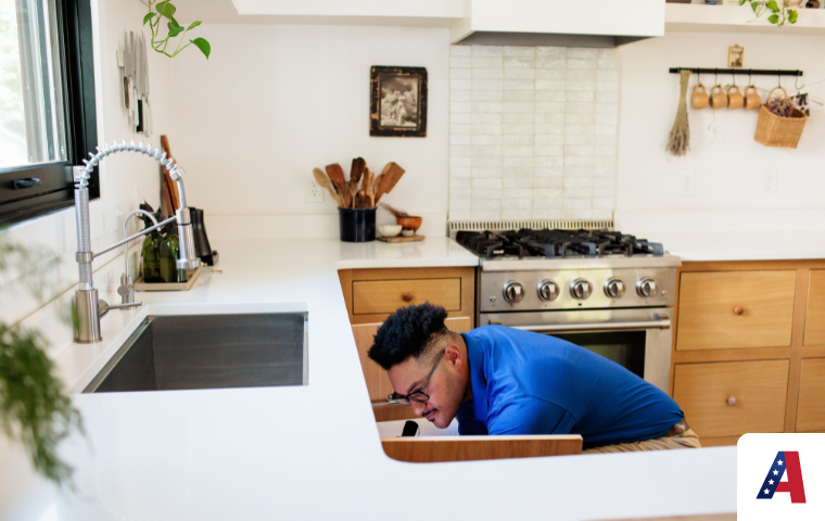 All American Pest Control roach pest control hendersonville tn