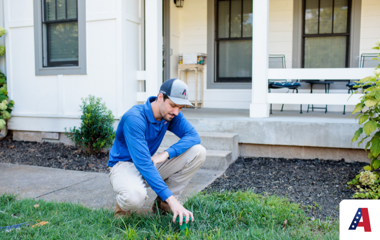 All American Pest Control pest and lawn care near me