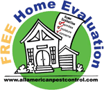 home evaluation icon