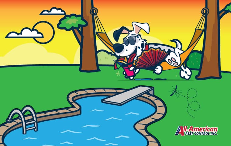 Get Ready To Enjoy A Pest Free Summer allie dog by pool