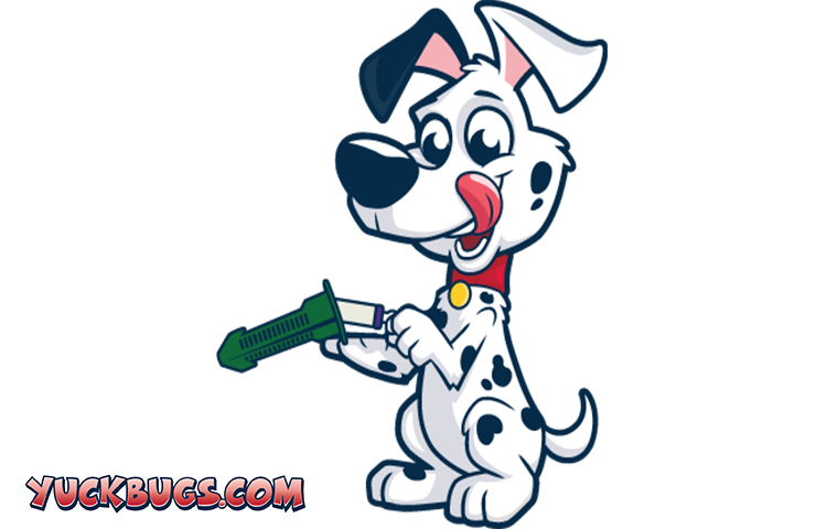 allie checking sentricon