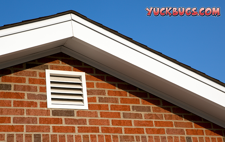 Learn More About Pests In The Attic And How To Pest Proof For Summer attic rooftop